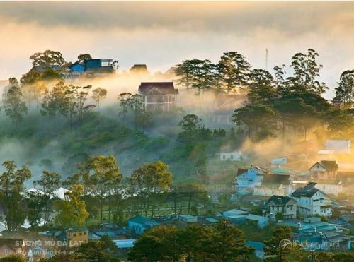 Kinh nghiệm du lịch Đà Lạt từ A đến Z
