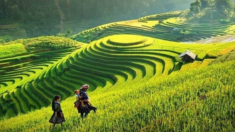 Thung lũng Mường Hoa ở Sapa