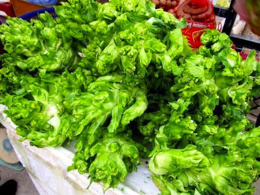 Cải mầm đá