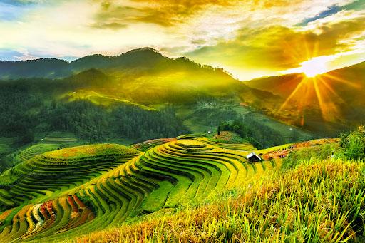 Kinh nghiệm du lịch Sapa tháng 10, mùa lúa chín đẹp nhất