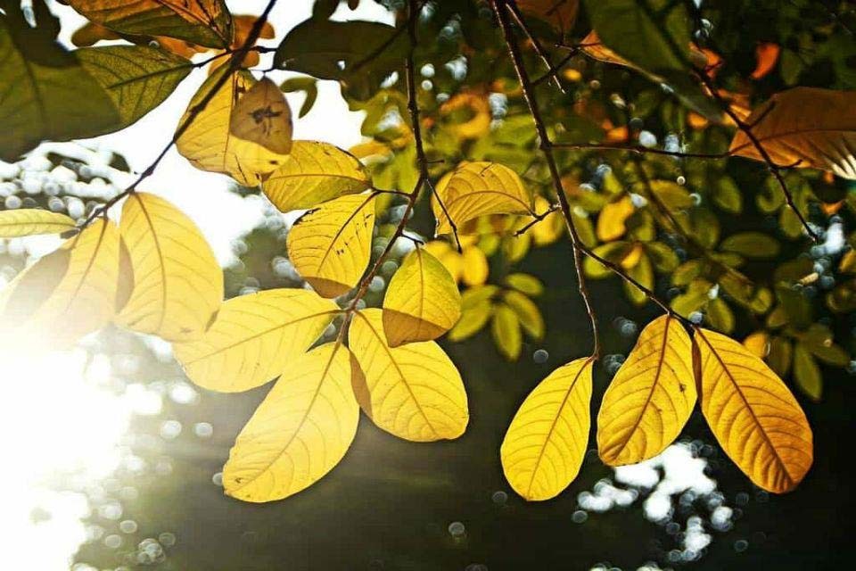 Thời tiết miền Trung mùa hè