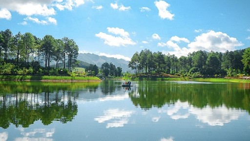 Rùng thông Bản Áng ở Mộc Châu