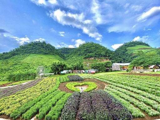 Địa điểm du lịch Mộc Châu Happy Land