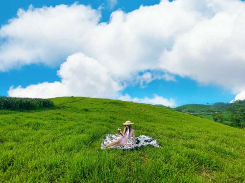 Hành trình đến thiên đường xanh: Đồng cỏ 68 Mộc Châu