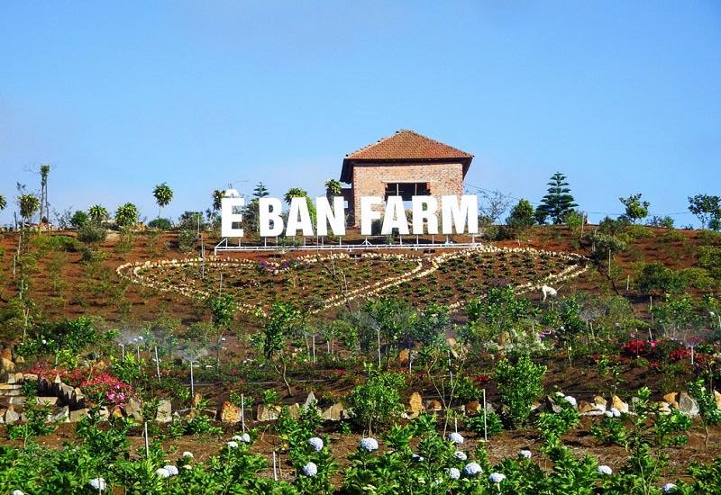 Ê Ban Farm Măng Đen: Trải Nghiệm Nông Trại "Chill" Hết Nấc