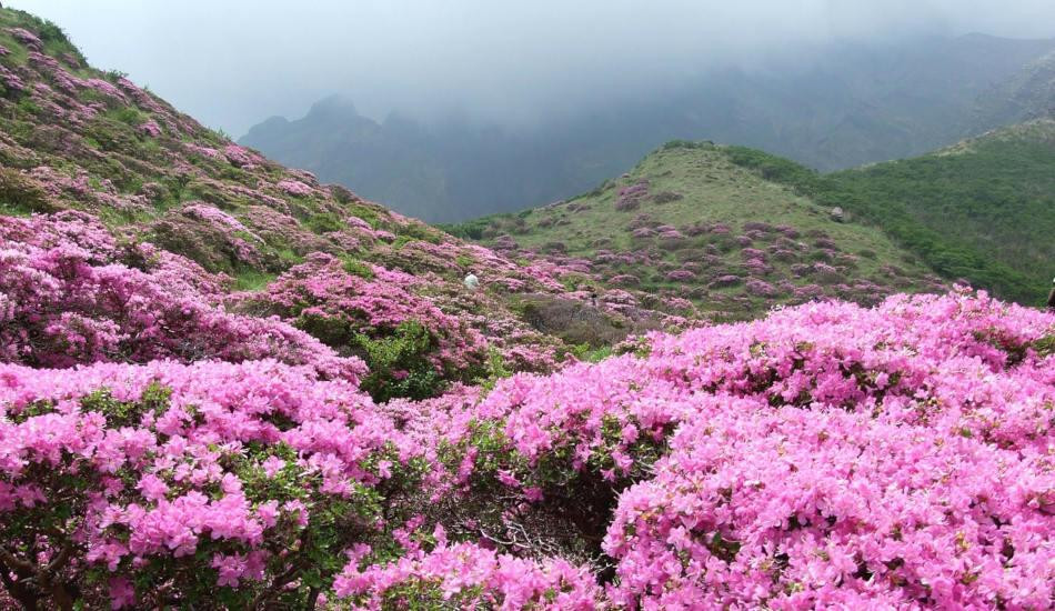 Du lịch Sapa Du lịch Sapa