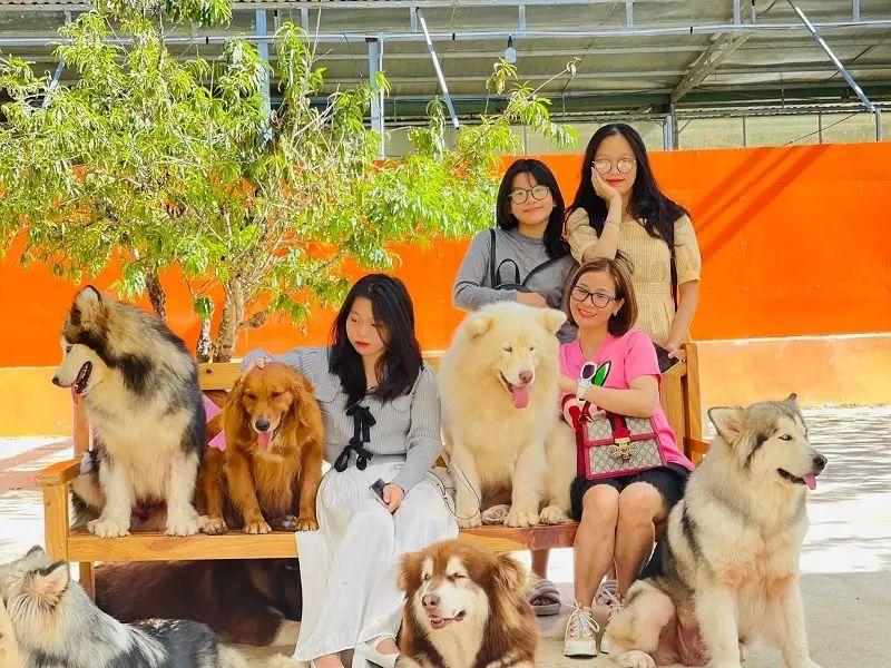 Puppy Farm Đà Lạt: Thiên đường cún cưng giữa lòng thành phố ngàn hoa
