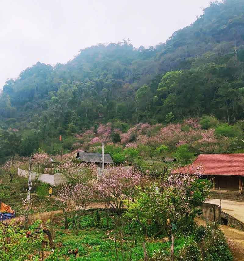 Địa điểm du lịch bản lóng luông