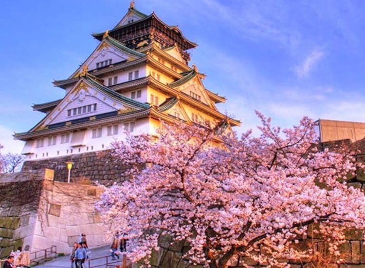 Quy định hoàn thuế Tax Free mới tại Nhật 2026