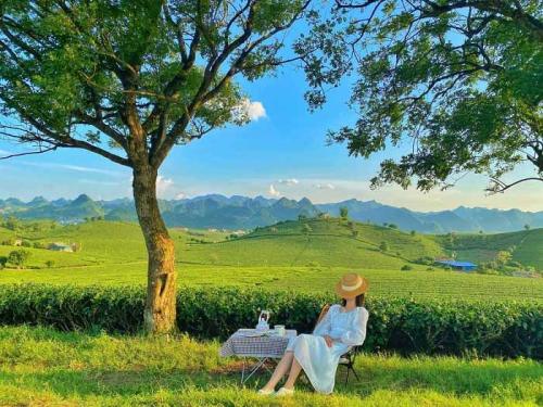 Du lịch Mộc Châu tháng 7 có gì đẹp? Có nên đi du lịch Mộc Châu vào tháng 7 không?