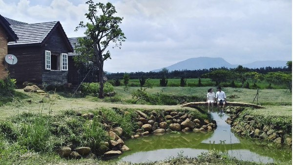 da-lat-milk-farm