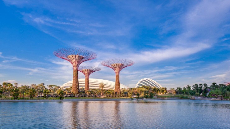 Garden by the Bay
