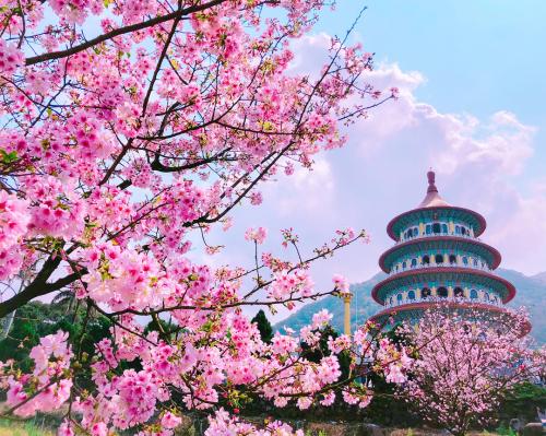 Đi du lịch Đài Loan cần chuẩn bị bao nhiêu tiền là đủ?