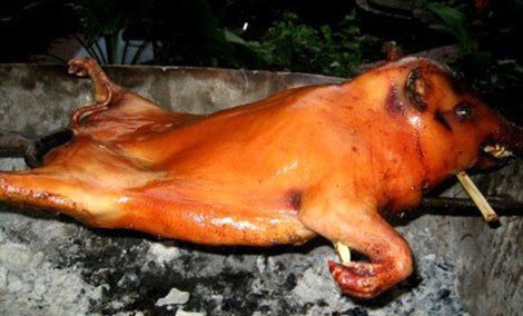 Heo quay, món ngon không thể bỏ lỡ theo kinh nghiệm du lịch Măng Đen