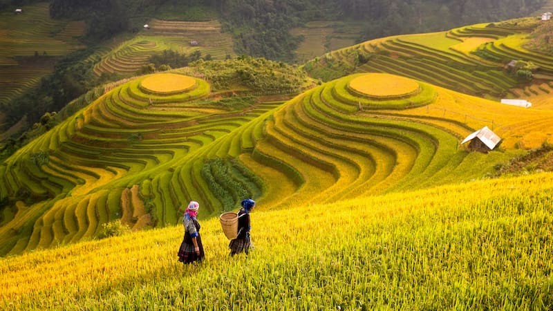 Tết nên đi du lịch ở Sapa
