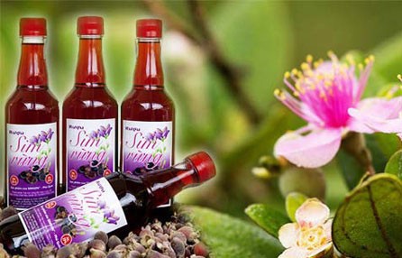 Rượu sim Măng Đen, đặc sản phải nếm thử theo kinh nghiệm du lịch Măng Đen