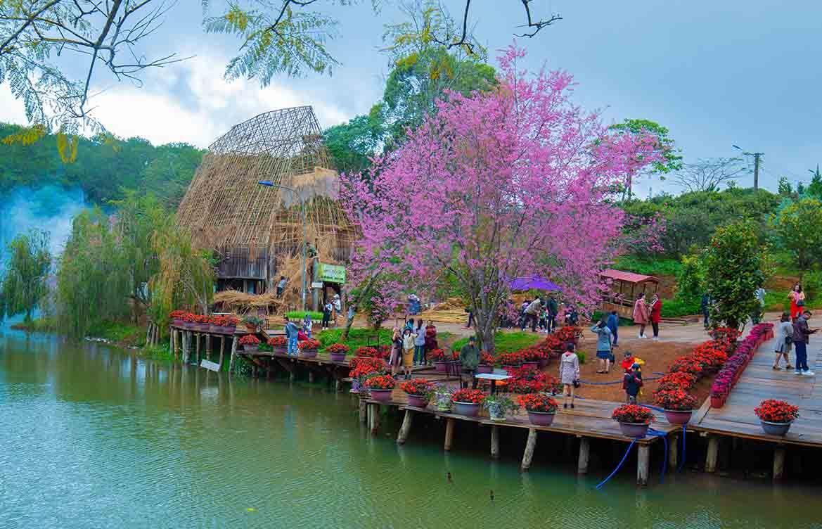 Chi tiết kinh nghiệm du lịch Măng Đen Kon Tum tiết kiệm nhất - Hải Đăng Travel