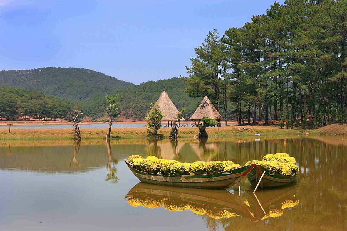 thung-lung-vang-tho-mong-tai-da-lat