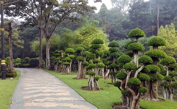 Vườn Hồ Malaysia - Du lịch Malaysia 4 ngày