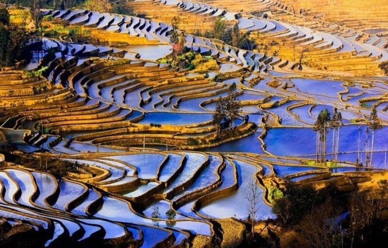 Ruộng bậc thang tại Vân Nam Trung Quốc Ruộng bậc thang tại Vân Nam Trung Quốc