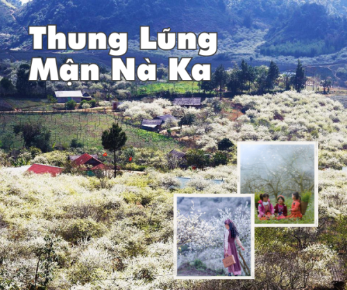 Khám phá vẻ đẹp thơ mộng tại Thung Lũng Mận Nà Ka