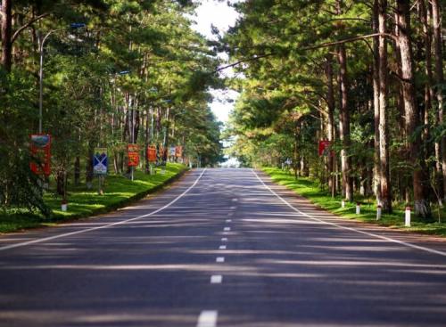 Chi phí đi Măng Đen 30/4 hết bao nhiêu tiền?