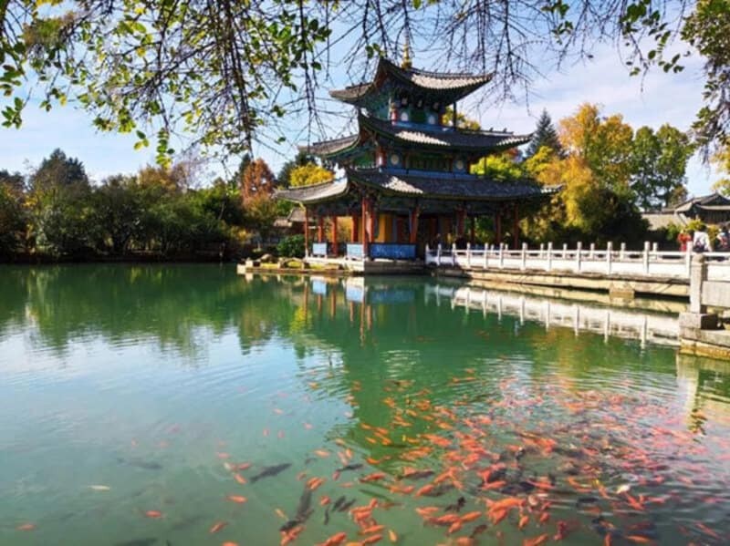 hồ cá Rồng Đen tại công viên Hắc Long Đàm Lệ Giang