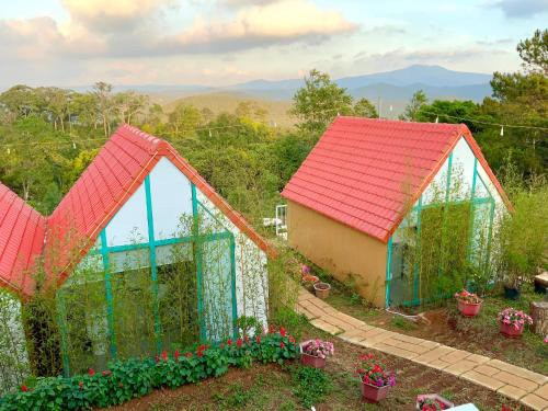 Thông reo Homestay tại Măng Đen