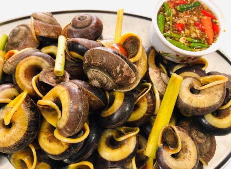 Ốc đá suối Bàng Mộc Châu