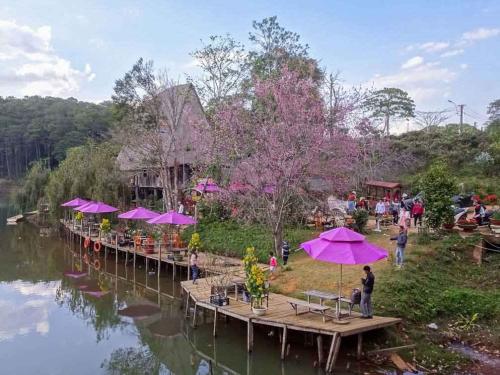 Giới thiệu về Măng Đen - Nàng thơ của núi rừng Tây Nguyên