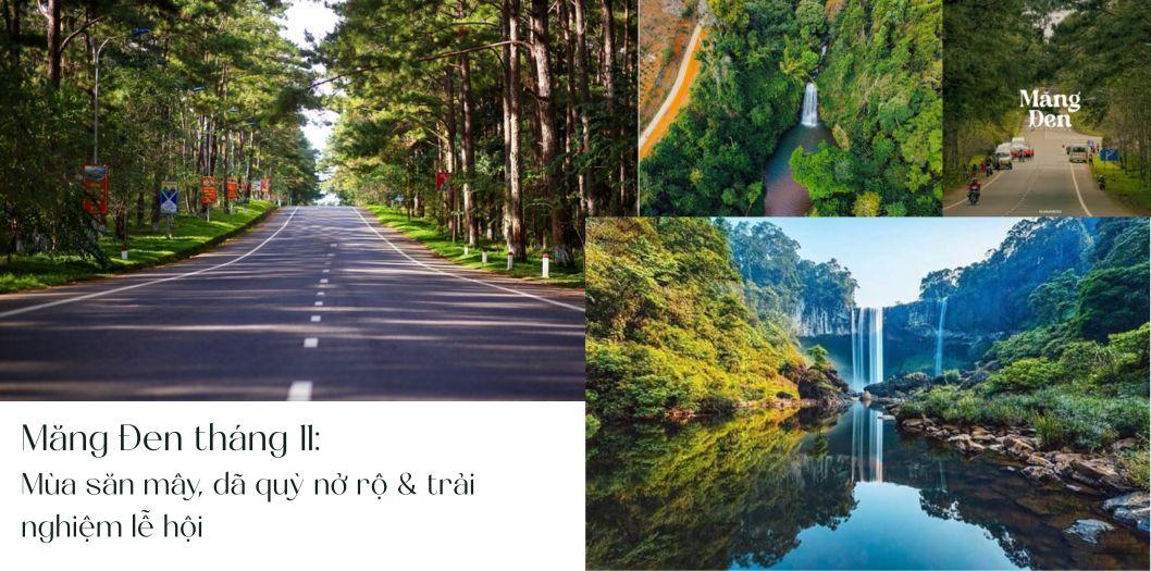 Măng Đen tháng 11: Mùa săn mây, dã quỳ nở rộ & trải nghiệm lễ hội