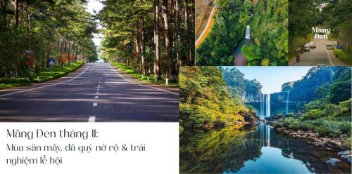 Măng Đen tháng 11: Mùa săn mây, dã quỳ nở rộ & trải nghiệm lễ hội