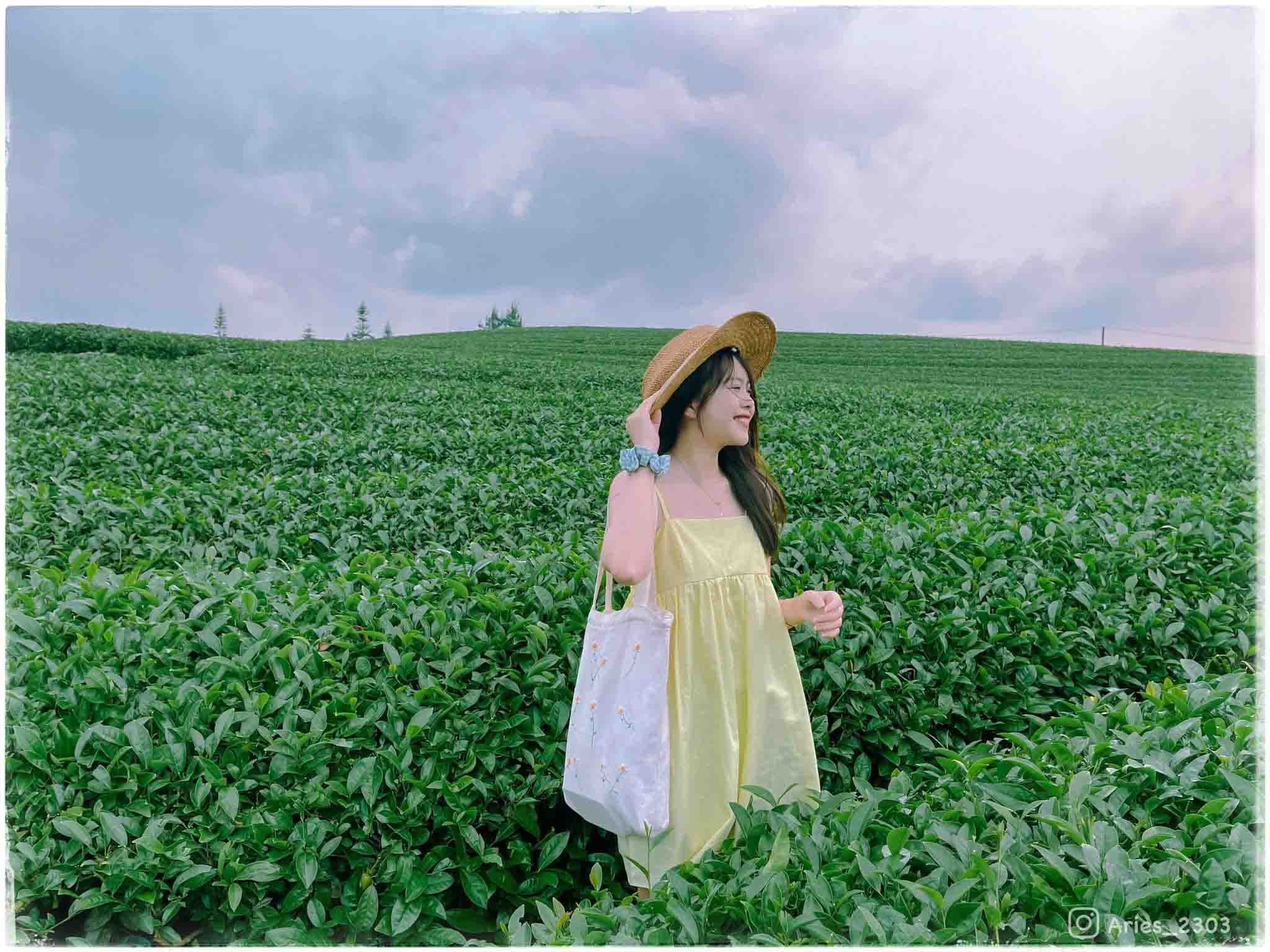 Thời tiết Mộc Châu tháng 4 mát mẻ