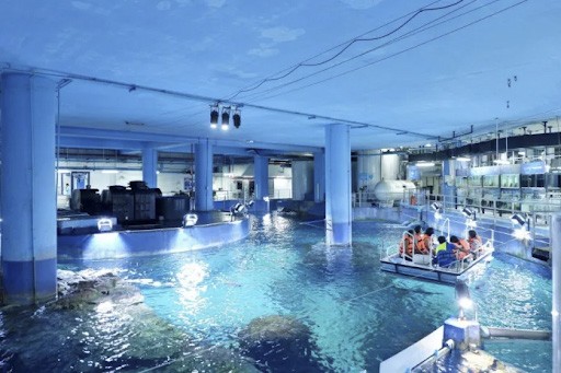 Safari World Bangkok, một trong các điểm du lịch ở Bangkok Thái Lan hấp dẫn nhất