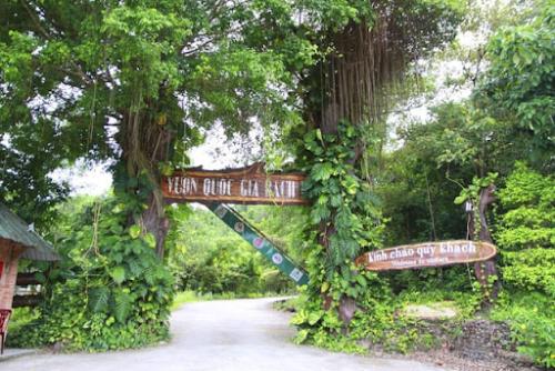 Tổng hợp kinh nghiệm đi du lịch Bạch Mã Huế an toàn và chi tiết nhất cho bạn