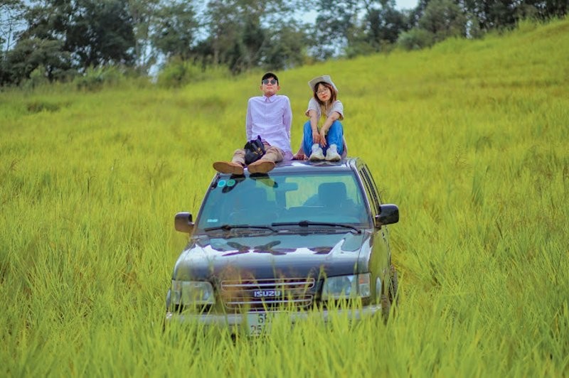 Đồi cỏ 37
