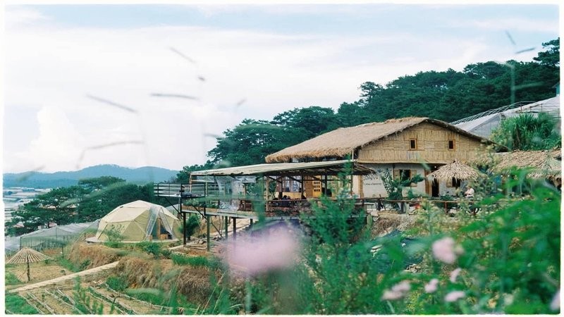 Lưu trú tại khu 37 hộ