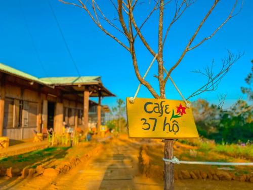 Khu 37 Hộ - Thiên Đường Ẩn Mình Giữa Núi Rừng Tây Nguyên