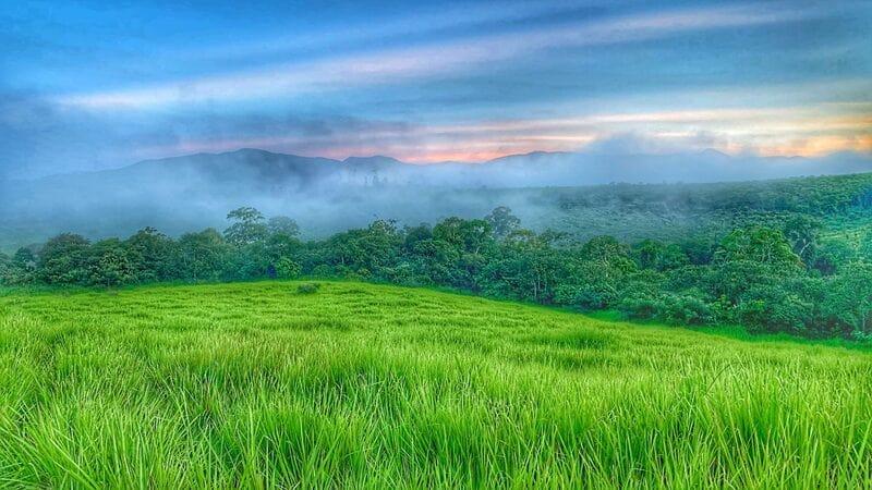 Đồi cỏ Măng Đen với vẻ đẹp thơ mộng ngây ngất lòng người