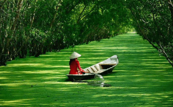 Rừng tràm Trà Sư