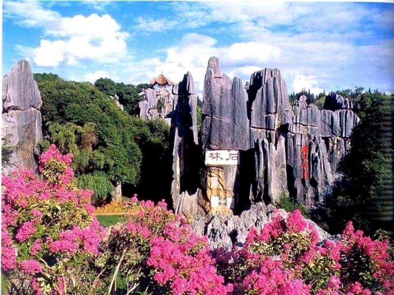 tham quan Rừng đá Thạch Lâm