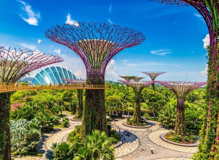 Tất tần tật những điều bạn chưa biết về Gardens by the Bay