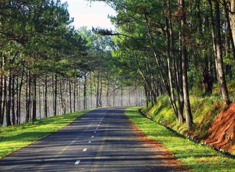 tour du lịch Đà Lạt 3