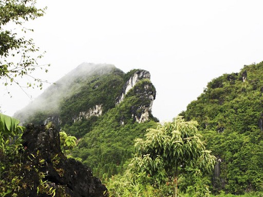 Núi Hàm Rồng Sapa