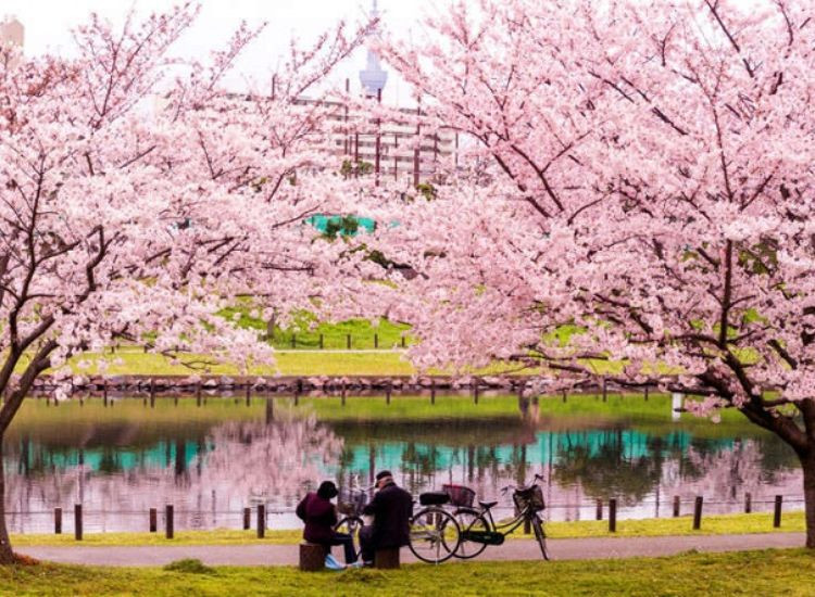 Nhiệt độ trung bình tháng 4 tại Tokyo và Osaka thời tiết Nhật Bản tháng 4 1