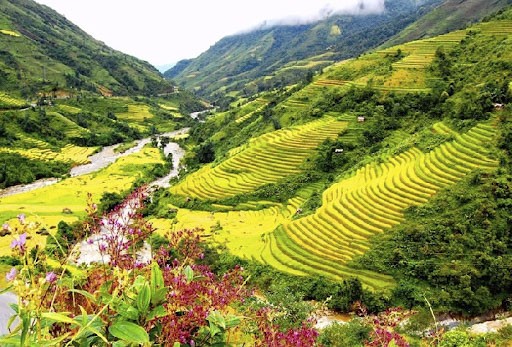 Thung lũng Mường Hoa ở Sapa