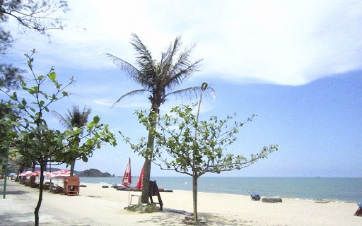 Đi du lịch Cửa Hội Nghệ An mùa hè