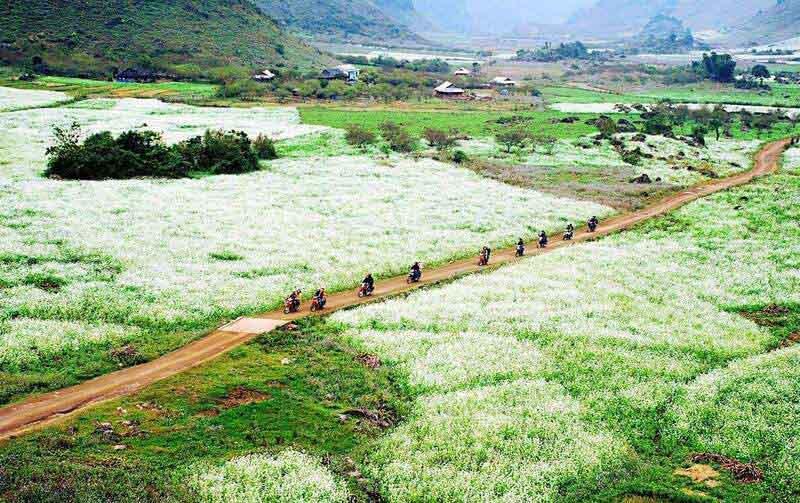 Bản Thung Cuông - Kinh nghiệm du lịch tự túc 3n2đ chi tiết