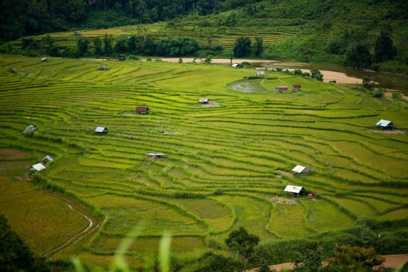 Ruộng Bậc Thang Kon Tu Rằng