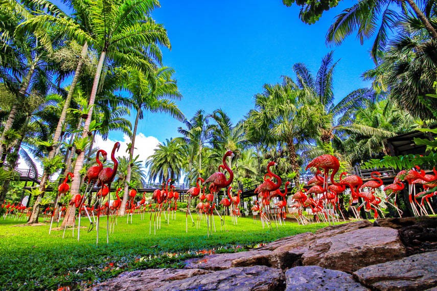 Vườn Flamingo